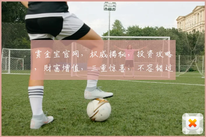 赏金宝官网,权威揭秘,投资攻略,财富增值,三重惊喜,不容错过